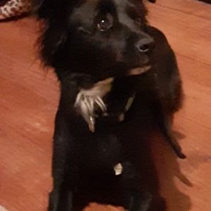 Meet your Posher, Deborah